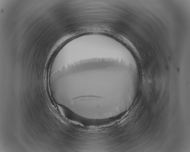 X0000084021035200703161734