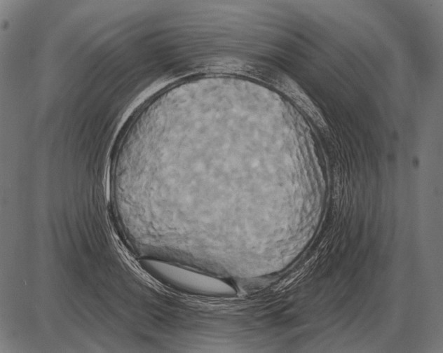 X0000084021036200703161734