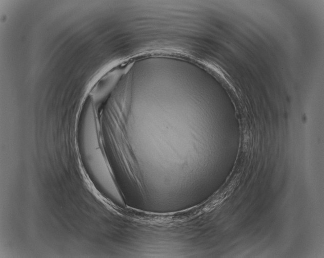 X0000084021038200703161734