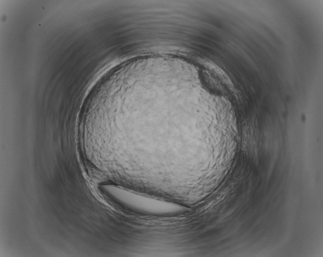 X0000084021039200703161734