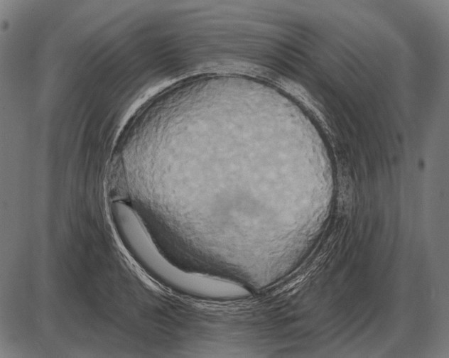 X0000084021040200703161734