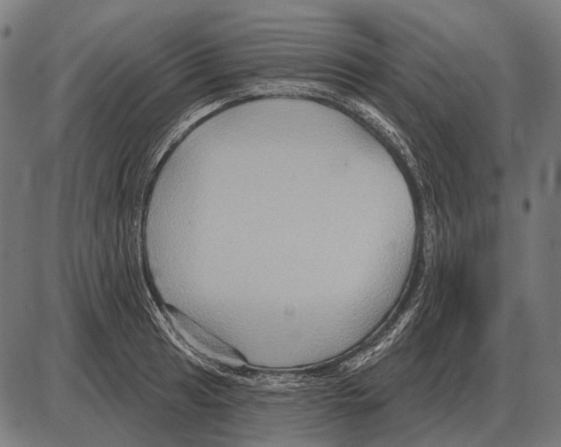 X0000084021041200703161734