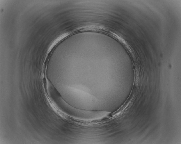 X0000084021042200703161734