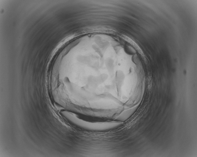 X0000084021043200703161734