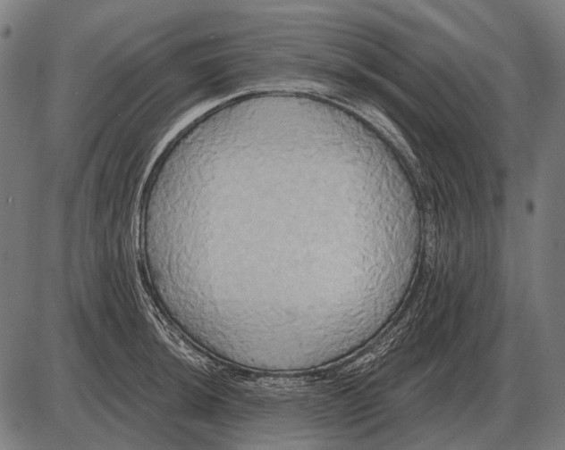 X0000084021044200703161734