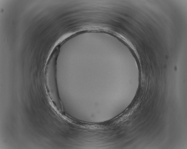 X0000084021045200703161734