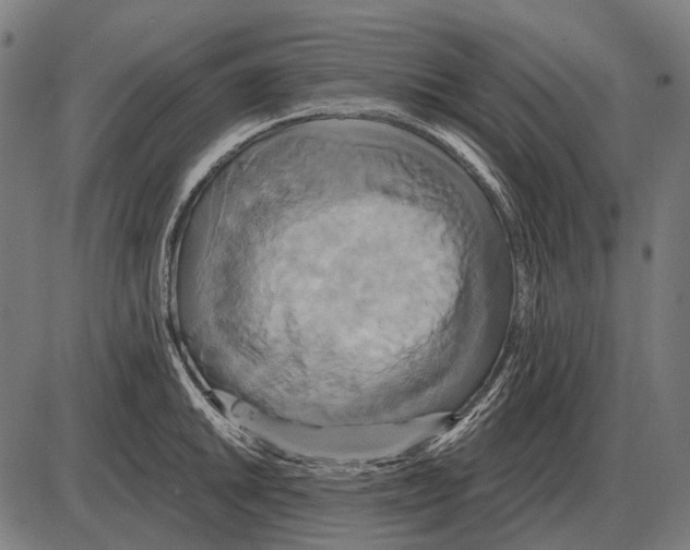 X0000084021046200703161734