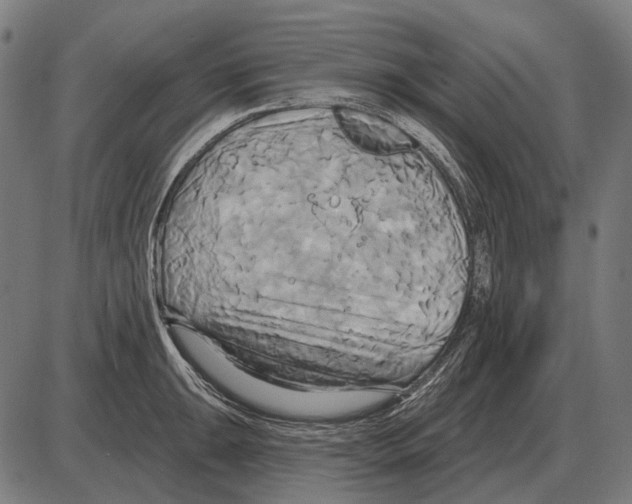 X0000084021047200703161734