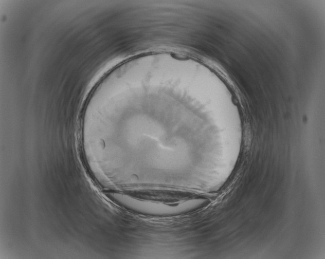 X0000084021048200703161734