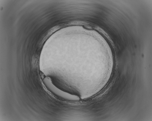 X0000084021049200703161734