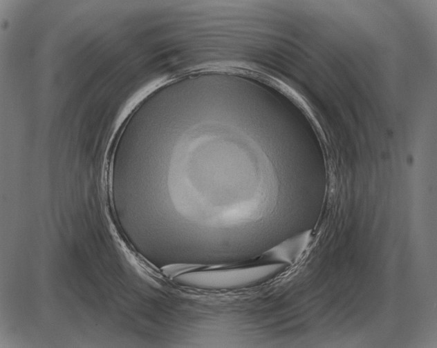 X0000084021050200703161734