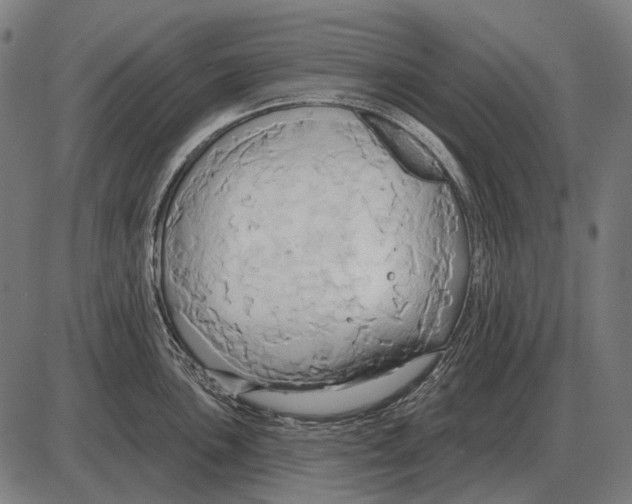 X0000084021051200703161734