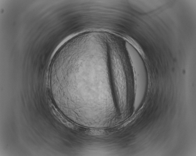 X0000084021052200703161734