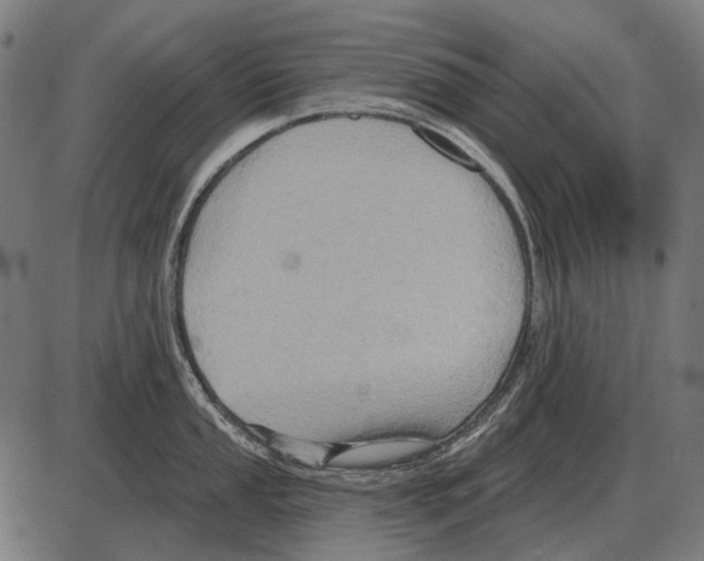 X0000084021053200703161734