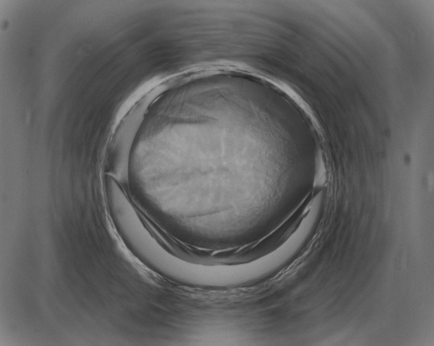 X0000084021054200703161734