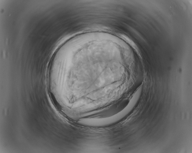 X0000084021055200703161734