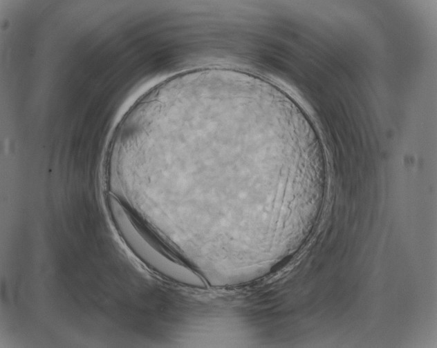 X0000084021056200703161734