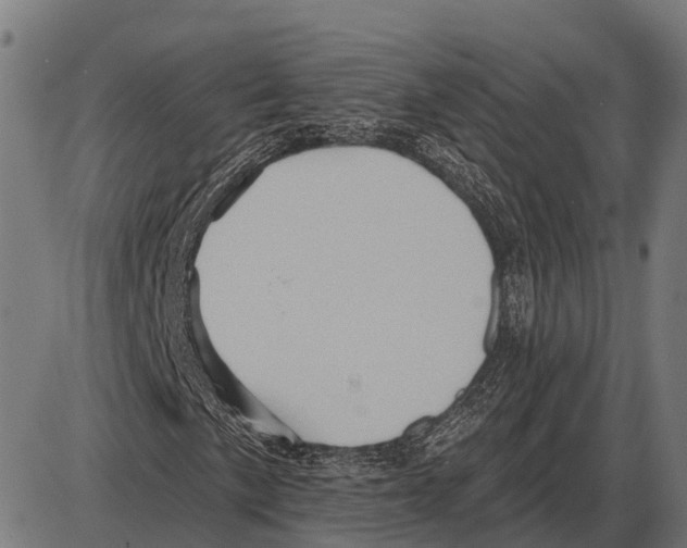 X0000084021057200703161734