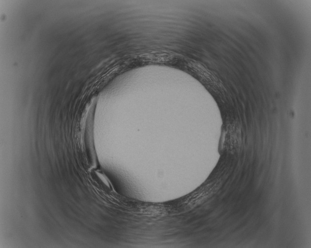 X0000084021058200703161734