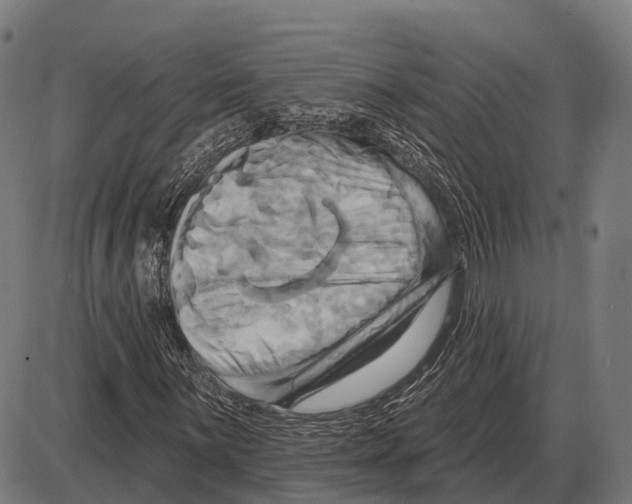 X0000084021059200703161734