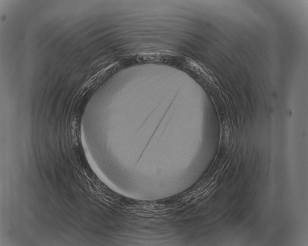 X0000084021060200703161734