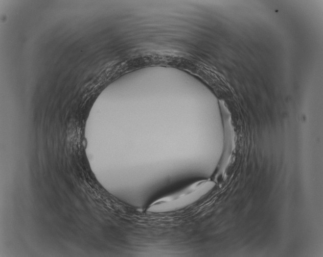 X0000084021061200703161734