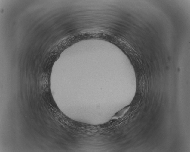 X0000084021062200703161734