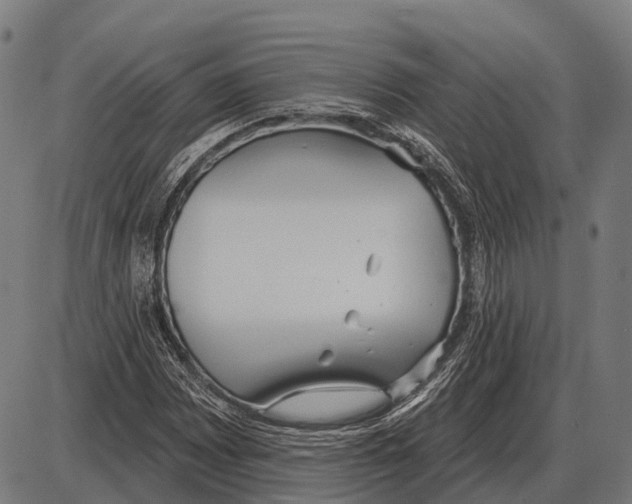 X0000084021065200703161733