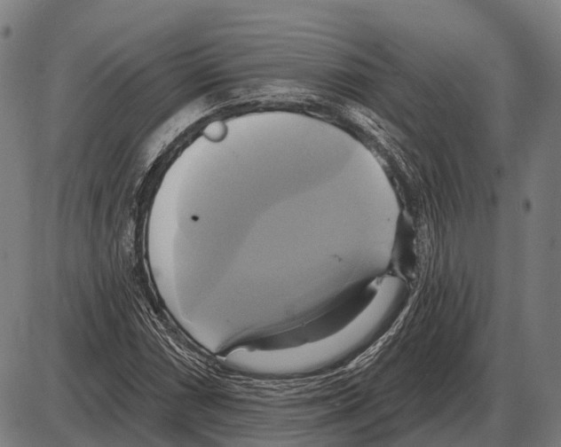 X0000084021066200703161733