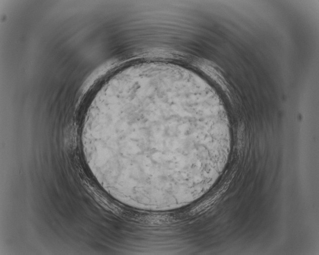 X0000084021067200703161733