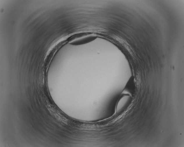 X0000084021069200703161733