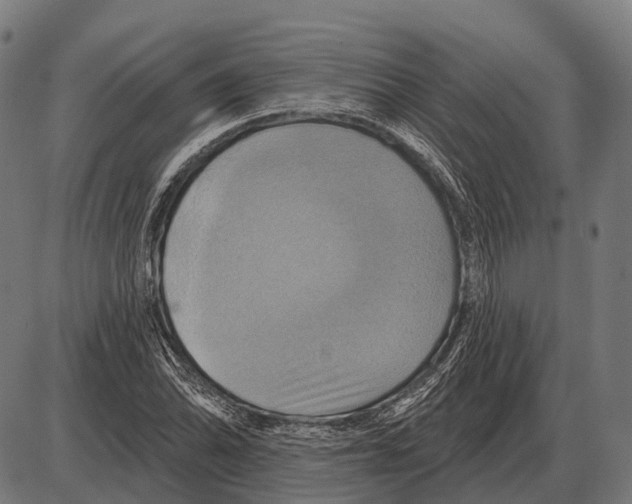 X0000084021070200703161733