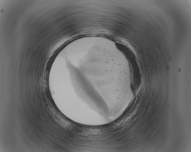 X0000084021071200703161733