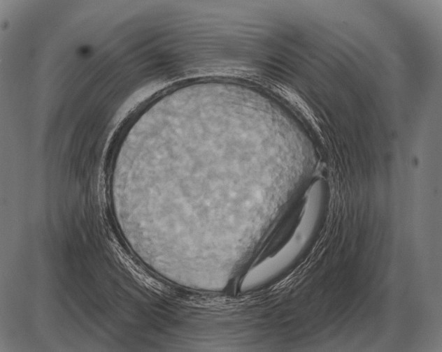 X0000084021072200703161733