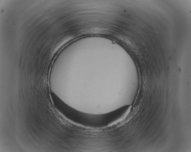 X0000084021073200703161733