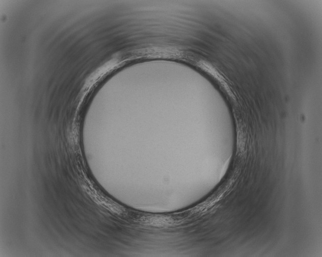 X0000084021074200703161733