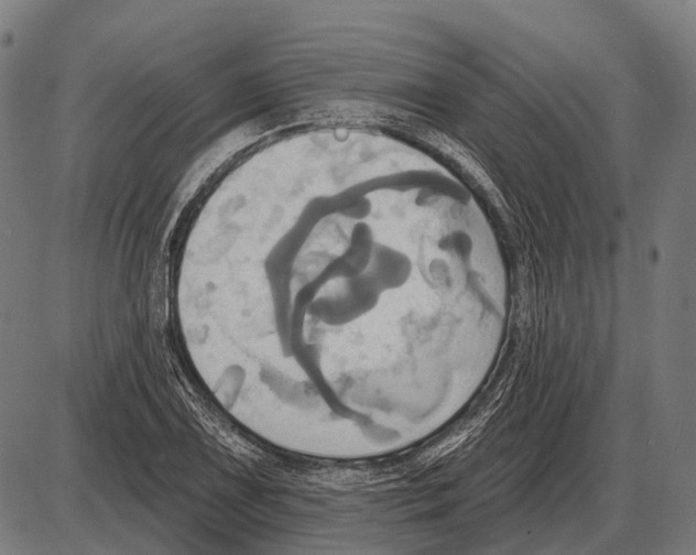 X0000084021075200703161733