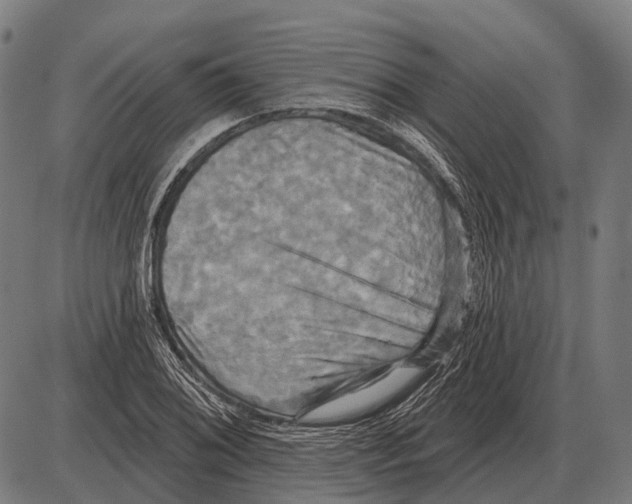 X0000084021076200703161733