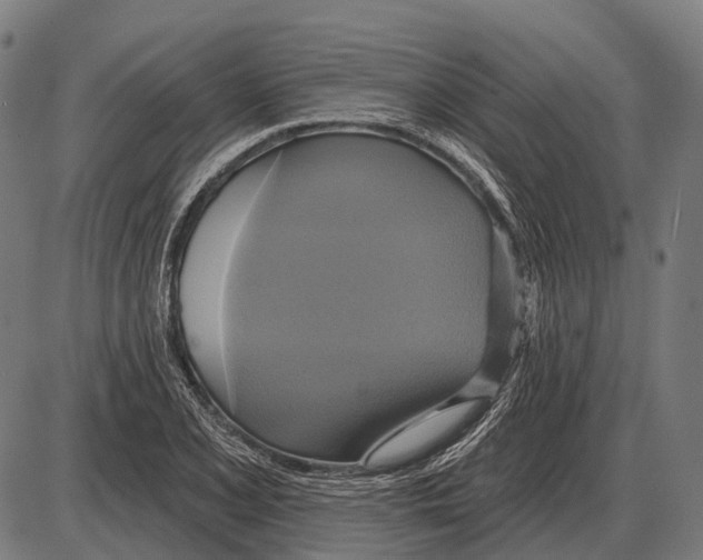 X0000084021077200703161733