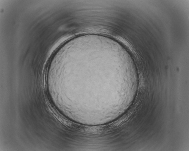 X0000084021078200703161733