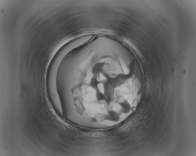 X0000084021079200703161733