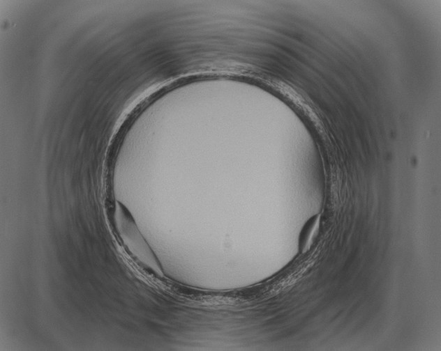 X0000084021085200703161733