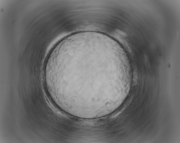 X0000084021086200703161733