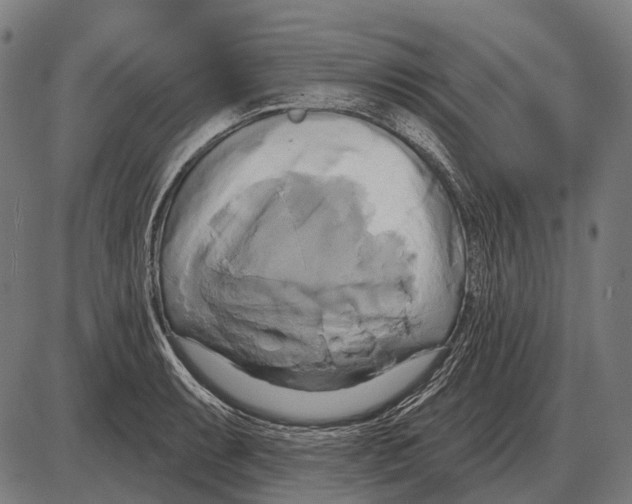 X0000084021087200703161733