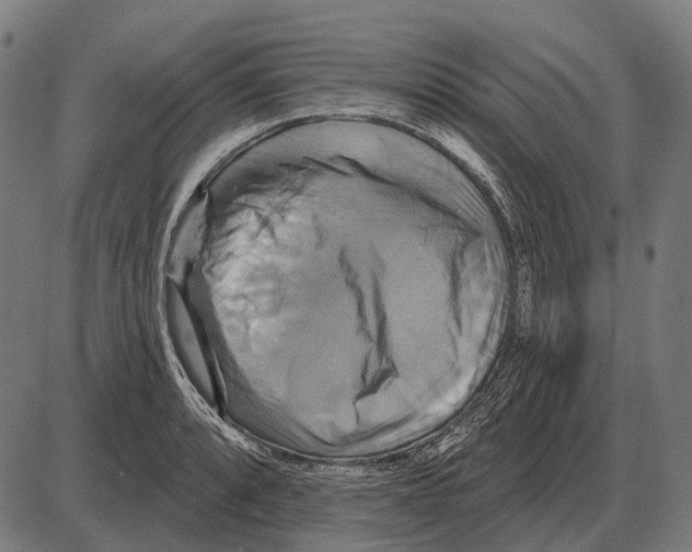 X0000084021088200703161733