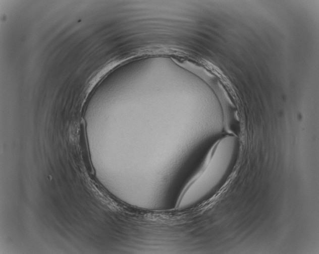 X0000084021089200703161733