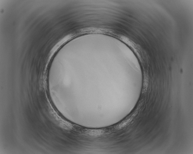 X0000084021090200703161733