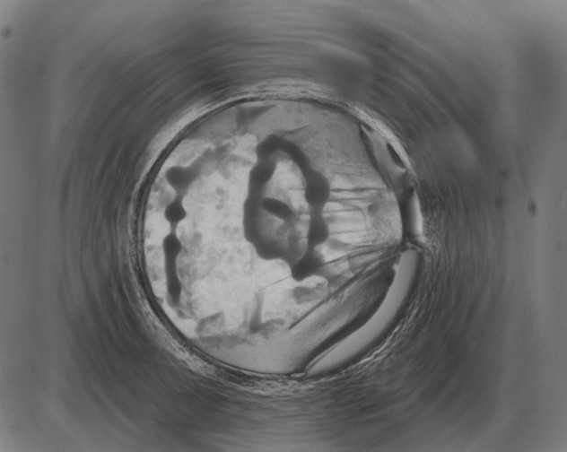 X0000084021091200703161733