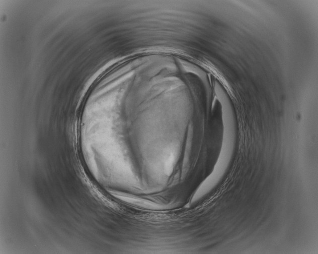 X0000084021092200703161733