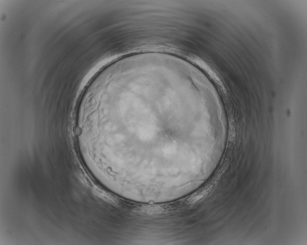 X0000084021094200703161733